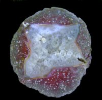 Arnold Ranch Thundereggs